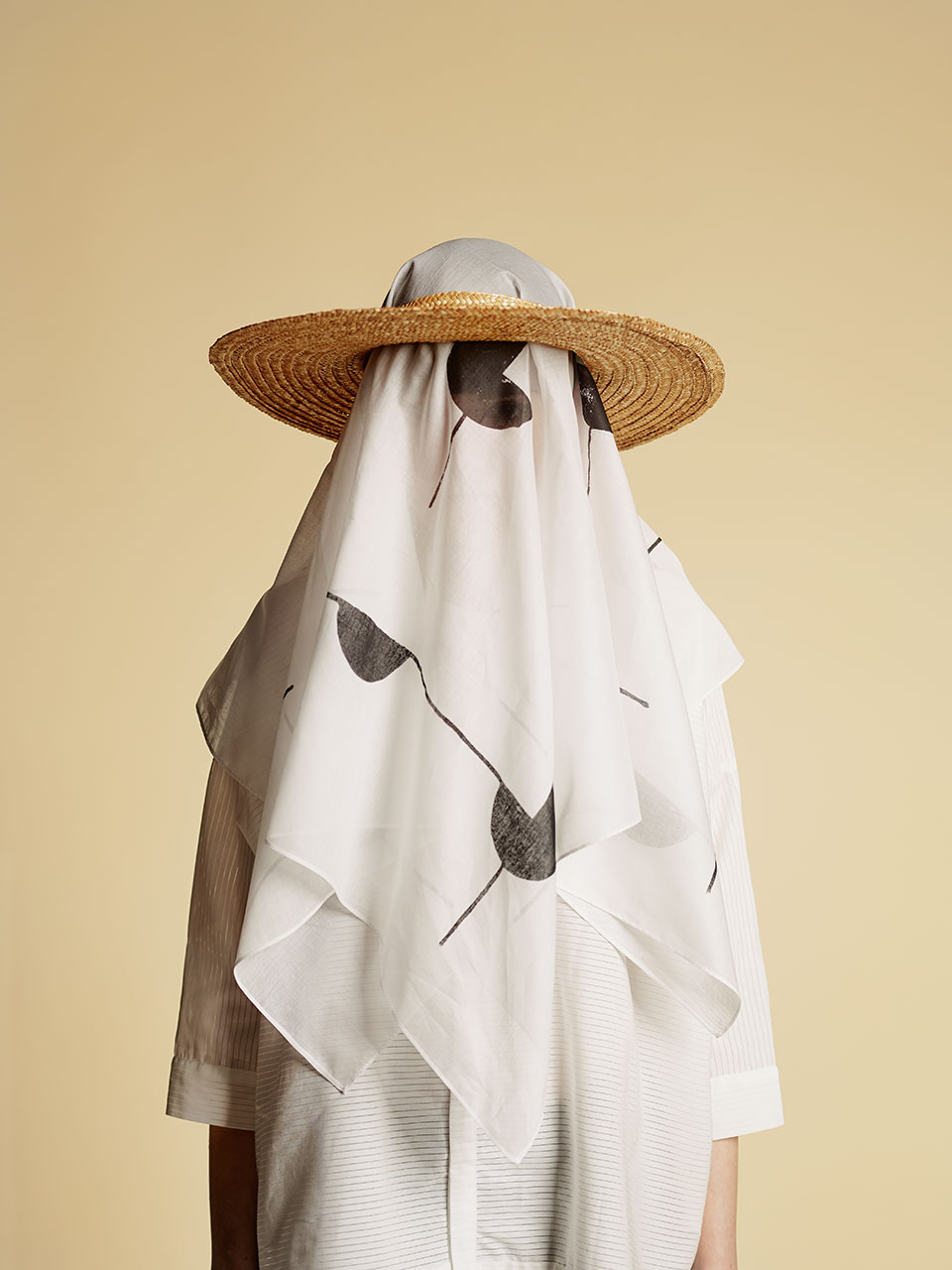 SS16 Horizons